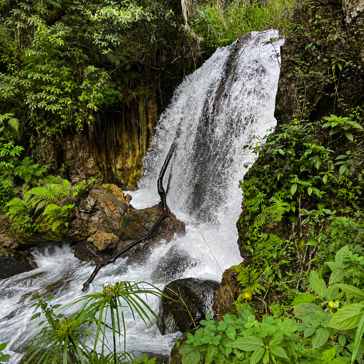 Blue Mountains waterfall