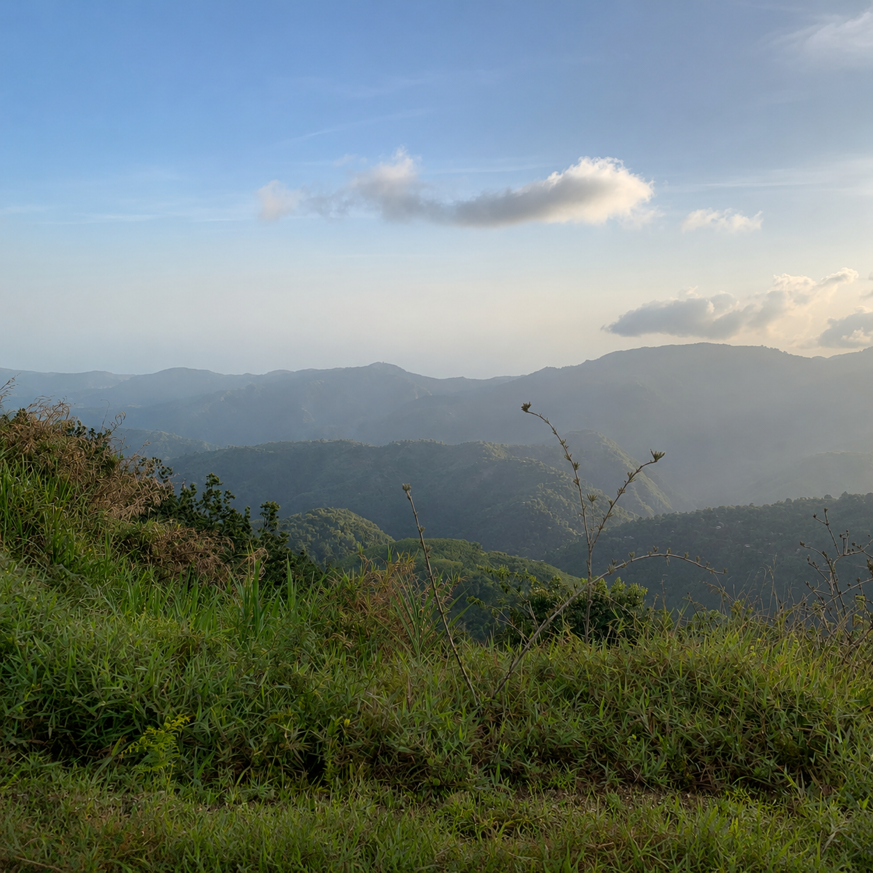 Blue Mountains landscape