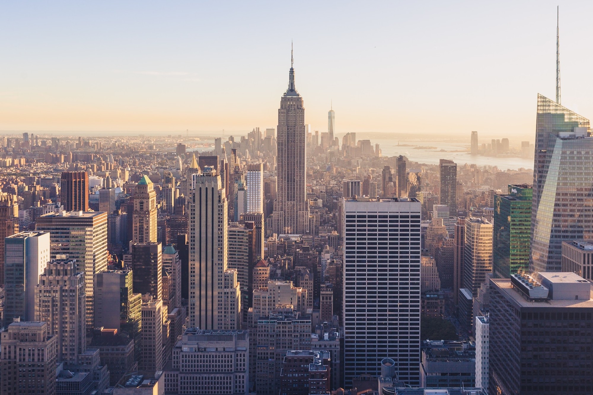 The City Wanderer
