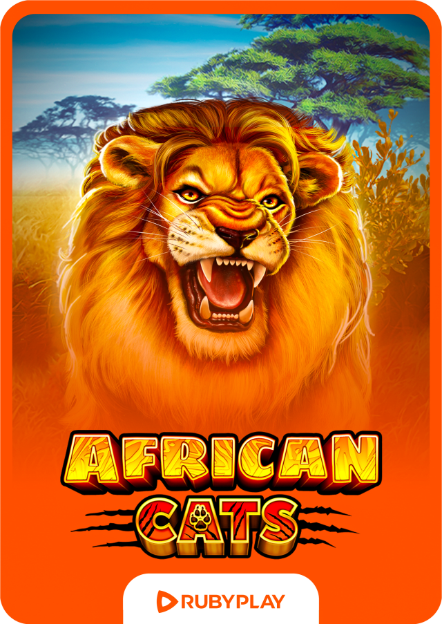 African Cats 96