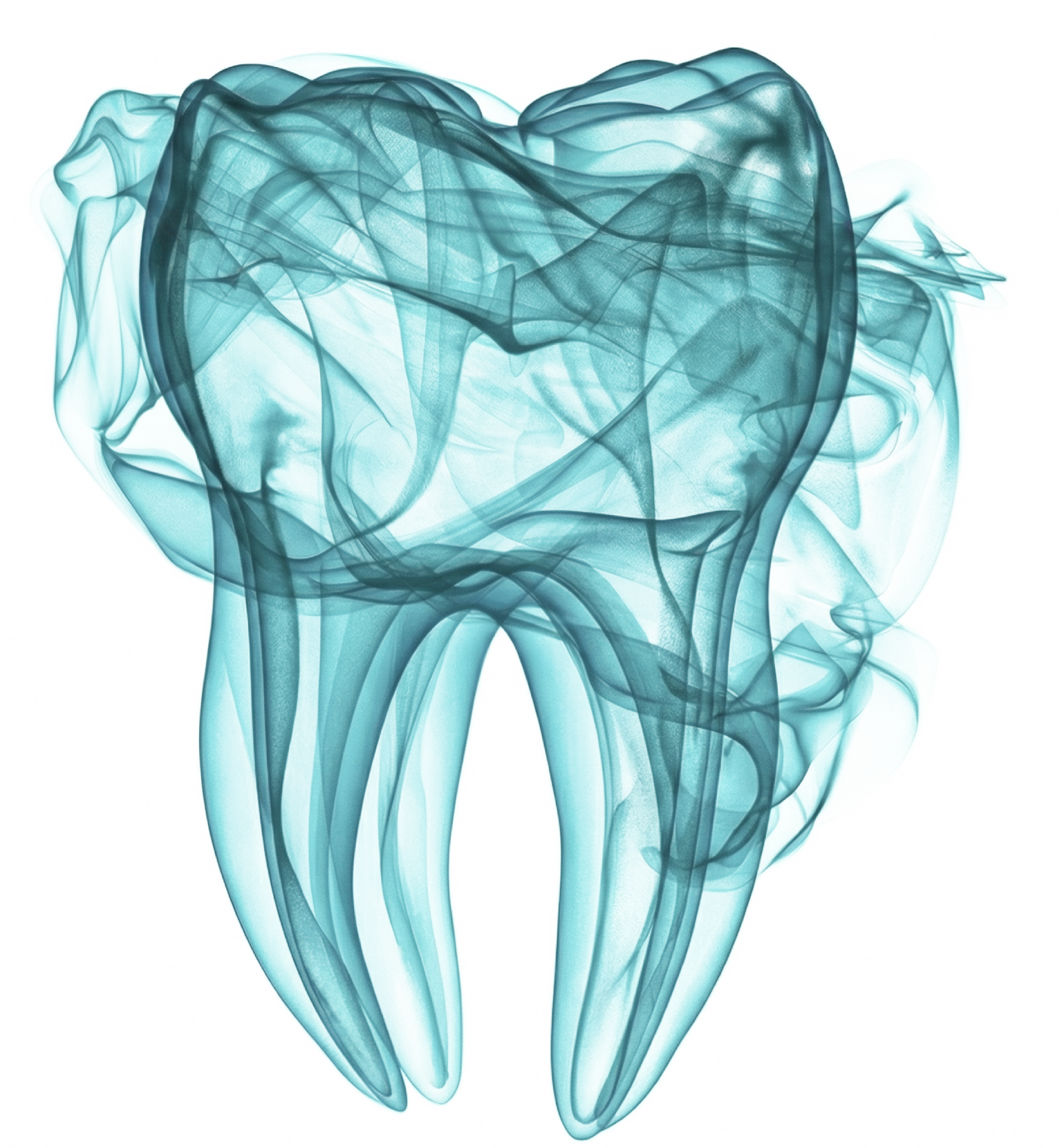 Ząb — symbol zdrowia