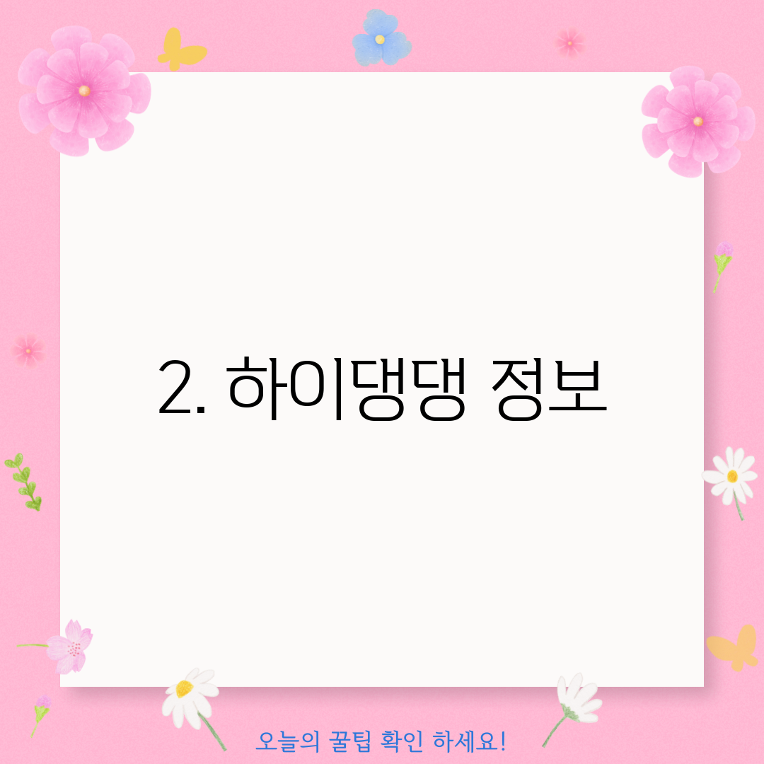 2. 하이댕댕 정보