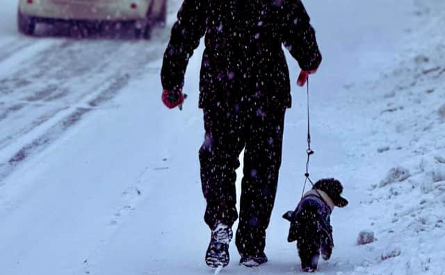 Bulgaristan Perşembe Günü Keskin Hava Değişimiyle Karşı Karşıya: Yağmur, Kar ve Kuvvetli Rüzgarlar Bekleniyor