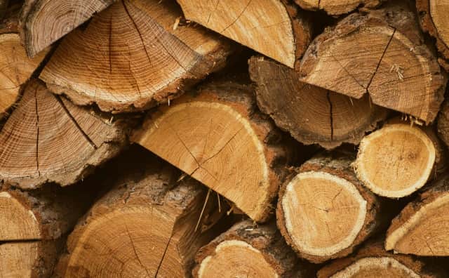 Bulgaristan: Kereste Üretimi 2025'te Tarihi En Düşük Seviyeye Ulaştı