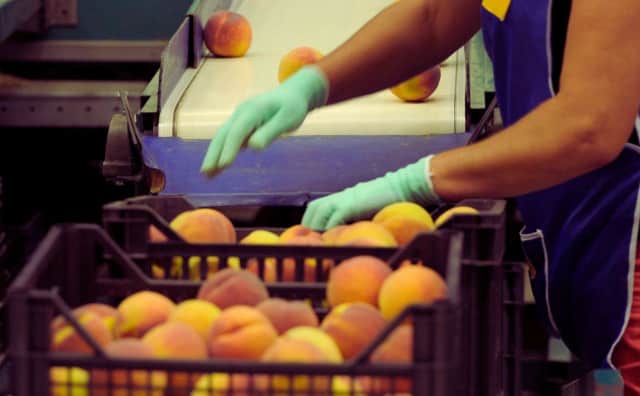 Bulgaristan, İşgücü Talebini Karşılamak İçin AB Dışındaki İşçilere Daha Yüksek Kotalar Öneriyor