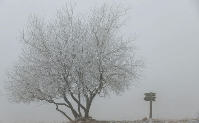 Bulgaristan Hava Durumu 14 Ocak: Sisli Sabahlar, Daha Bulutlu Doğu, Sakin Karadeniz Rüzgarları