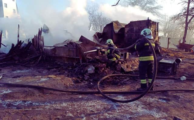 Yangın, Varna'daki Phanagoria Tarihi Kompleksini kül etti, yedi at öldü