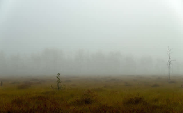 Bulgaristan Genelinde Bulutlu ve Sisli Cuma, Sıcak Hava Sıcaklıkları Yükseltiyor