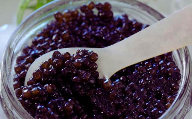 Bulgaristan Siyah Havyar İhracatında Avrupa'nın Zirvesinde