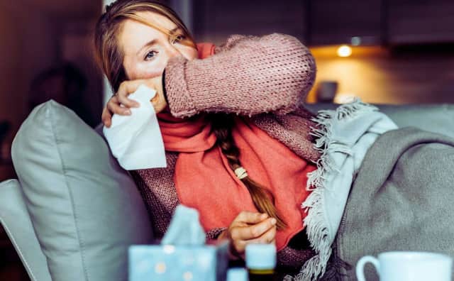 Bulgaristan: Filibe'de Grip Salgını İlan Edildi, Varna ve Dobriç'te Sona Erdi