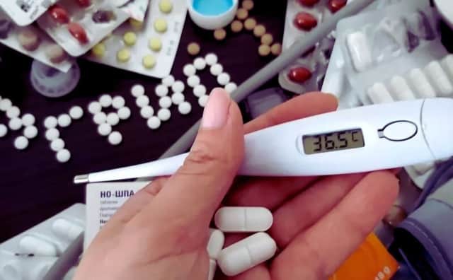 Dört Bulgar bölgesi grip salgını eşiğinde.