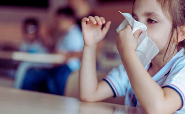 Grip Salgını Filibe'de Okulları Kapattı: Öğrenci Devamsızlıkları %20'yi Geçti