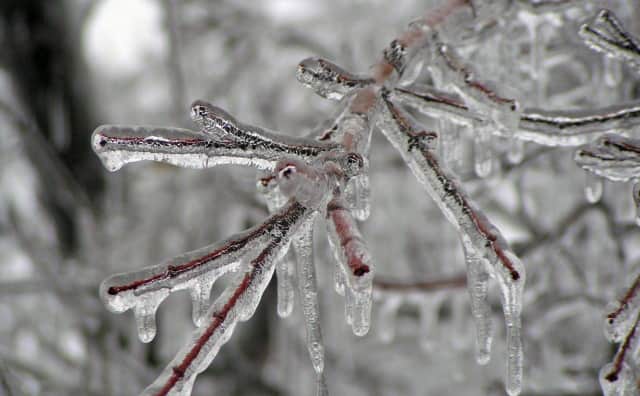 Bulgaristan'da Çarşamba Günü İçin Buz Fırtınası ve Şiddetli Rüzgar Alarmı!