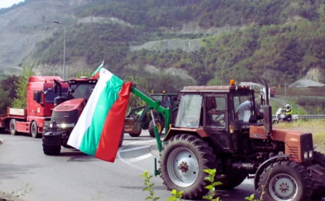 Arjantin Ayçiçeği Akını Bulgaristan Piyasasını Vurdu: Üreticilerden Kalite ve Rekabet Endişesi