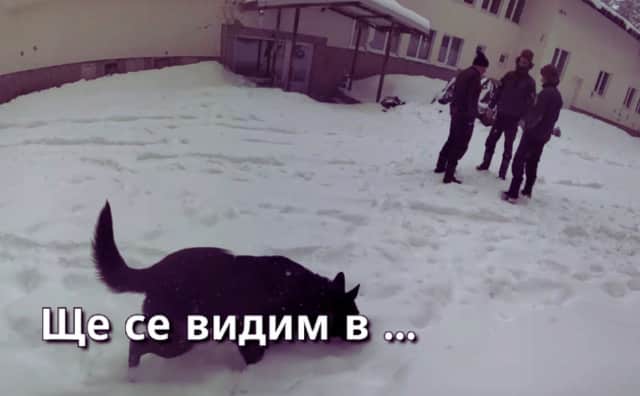 Petrohan Vakası: Bulgaristan'dan 6 Ölümün Soruşturulması İçin Uluslararası Yardım Talebi