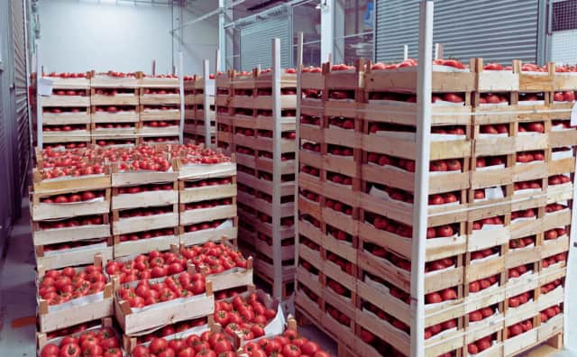 Bulgaristan'dan Bir Ayda 370 Ton Güvenli Olmayan Gıda İthalatına Engelleme