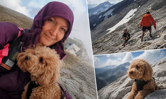 Pirin Dağları'nda Trajedi: Kayıp Turistin Cansız Bedenine Köpek Havlaması Sayesinde Ulaşıldı