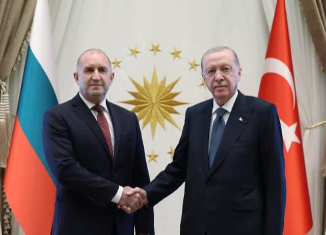 NATO Zirvesi Öncesi Ankara'da Kritik Görüşme: Cumhurbaşkanı Erdoğan, Bulgaristan Cumhurbaşkanı Radev'i Kabul Etti