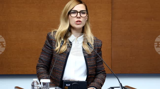 Bulgaristan Dışişleri Bakanı Petrova'dan Berlin'e Kritik Ziyaret: Alman Mevkidaşı Wadephul ile Görüşecek