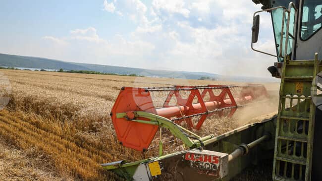 Tahıl Piyasasında Sert Düşüş: Şeker Fiyatları Zirveden Geri Çekildi