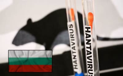 Bulgaristan'da Hantavirüs Tehlikesi: Uzmanlar Tarihsel Süreci ve Riskleri Açıkladı