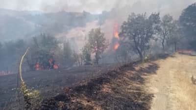 Struma Otoyolu Yakınında Korkutan Yangın: Bir Kişi Ağır Yaralandı, Hava Ambulansı Devrede
