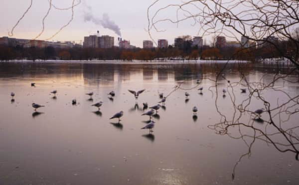 Sıcaklıklar -21°C'ye Düşerken Romanya Tarihi Soğuk Krizle Karşı Karşıya