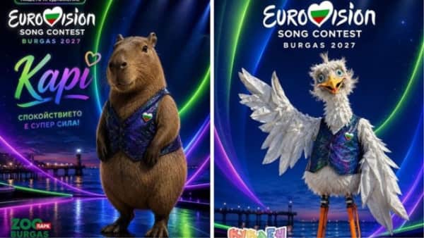 Burgas'ta Eurovision 2027 Heyecanı: Kapibara mı, Martı mı?