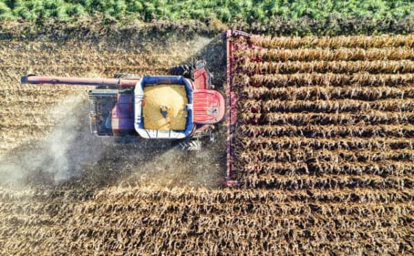 Bulgaristan'da Tarım Krizi: Üretim Maliyetleri Gelirleri Solladı