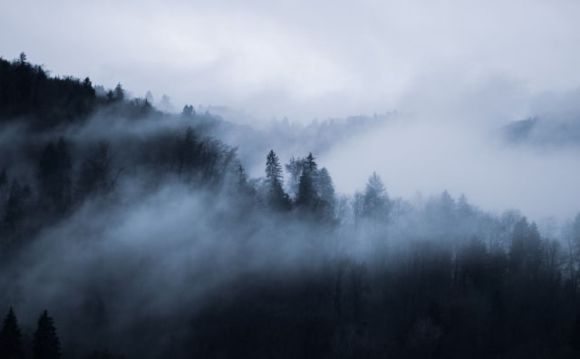 16 Aralık Bulgaristan Hava Durumu: Vadilerde Sabah Sisi, Öğleden Sonra Güneşli Gökyüzü