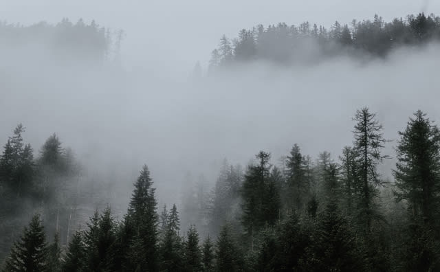 Cuma Hava Durumu: Kuzeydoğu Rüzgarı Güçlenirken Bulgaristan Genelinde Sıcaklık Düşüyor