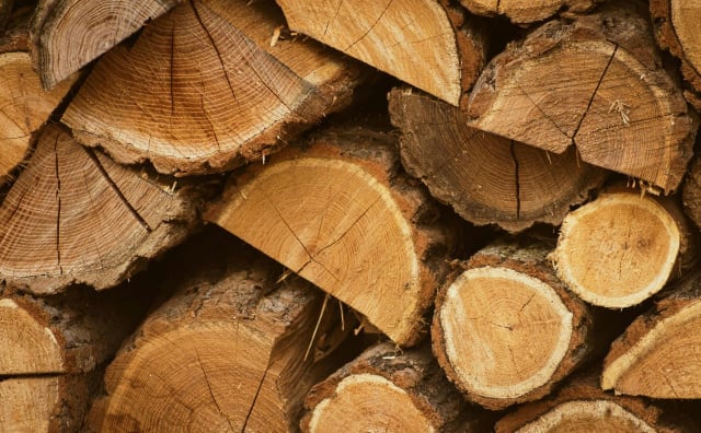 Bulgaristan: Kereste Üretimi 2025'te Tarihi En Düşük Seviyeye Ulaştı