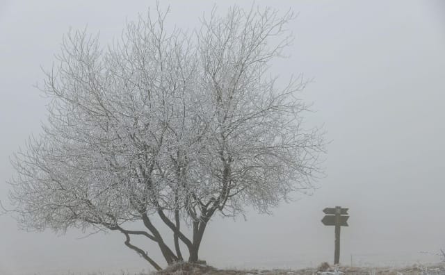 Bulgaristan Hava Durumu 14 Ocak: Sisli Sabahlar, Daha Bulutlu Doğu, Sakin Karadeniz Rüzgarları