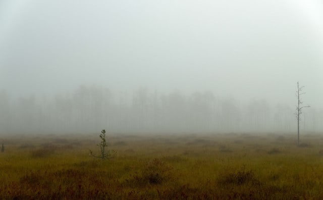 Bulgaristan Genelinde Bulutlu ve Sisli Cuma, Sıcak Hava Sıcaklıkları Yükseltiyor