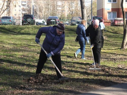 В Ярославле прошел общегородской субботник