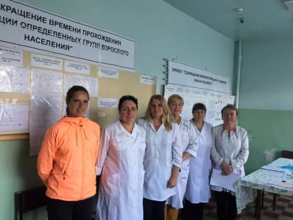 Развитие системы оказания первичной медико-санитарной помощи в Ярославской области