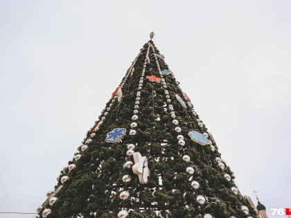 К Новому году в Ярославле развалилась главная городская елка. Денег на другую не дадут