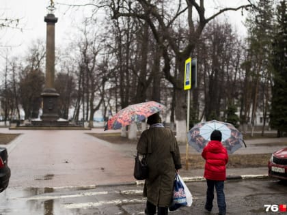 Спасатели предупредили об авариях из-за дождя с сильным ветром в Ярославской области