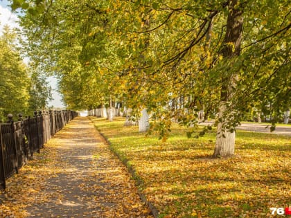 Убирайте куртки в шкаф: какой будет погода на День знаний и первые дни осени в Центральной России