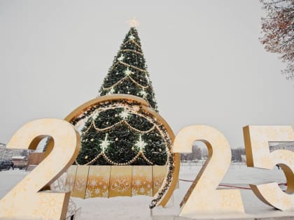 Посвященные Рождеству мероприятия пройдут во всех городах и районах Ярославской области