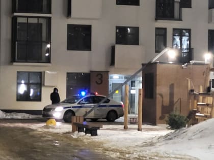 На территории ярославского жилого комплекса рухнул фонарь