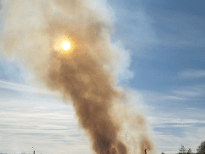 В Ярославле полыхает трава рядом с зоопарком