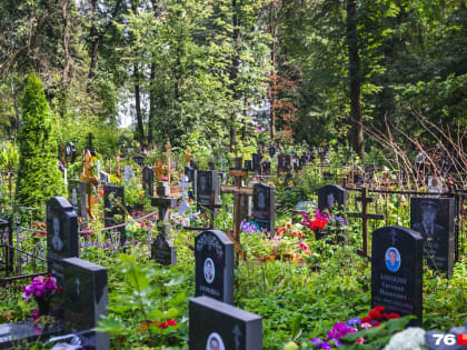 Места в городе почти кончились: ярославцам обещали новое кладбище к 1 сентября, но его не сделали