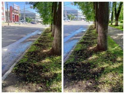 Ярославцы сообщили о пропаже чугунного забора