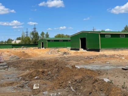 Собачий приют в Ярославле откроют к Новому году