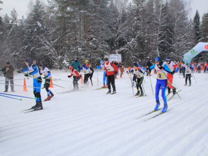 Лыжный марафон им. Александра Невского