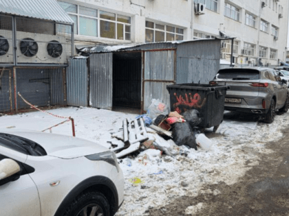 «Крысы кидаются»: ярославцы жалуются на сетевой магазин