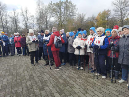 В Ярославле прошёл фестиваль «Ярославская прогулка 55+»