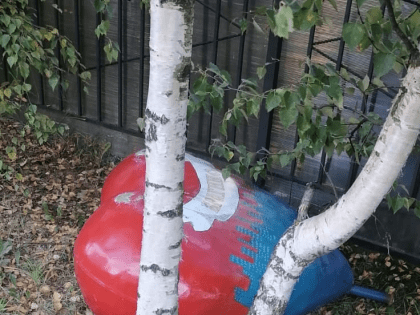 Ярославские вандалы разгромили «сердце» Брагино