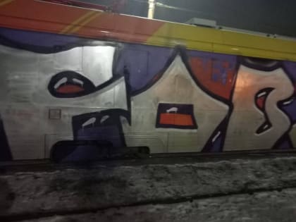 В Ярославле подростки ночью разрисовали новый трамвай